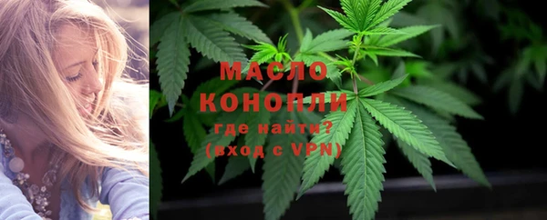 шишки Вяземский