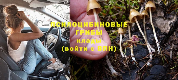 шишки Вяземский