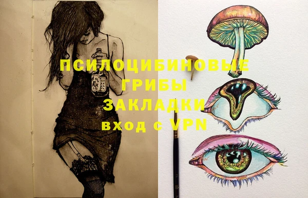 шишки Вяземский