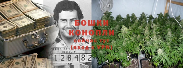 шишки Вяземский